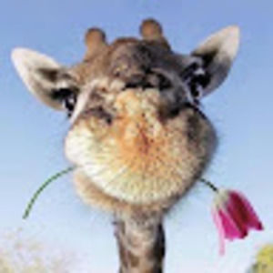 Meet your Posher, Rosemarie